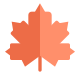 maple leaf icon