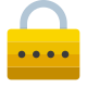 password icon